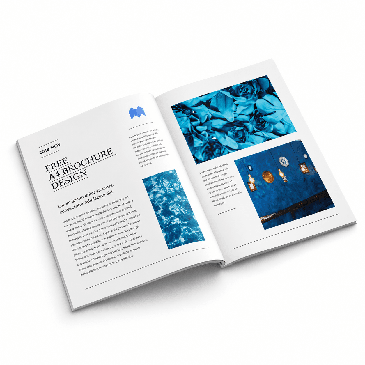 A4 Brochures